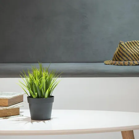 Tia Maria Is Situated In The Southern Part Of The Sunny Affittacamere