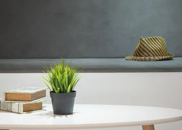 Tia Maria Is Situated In The Southern Part Of The Sunny ゲストハウス